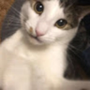 Meet your Posher, Keira